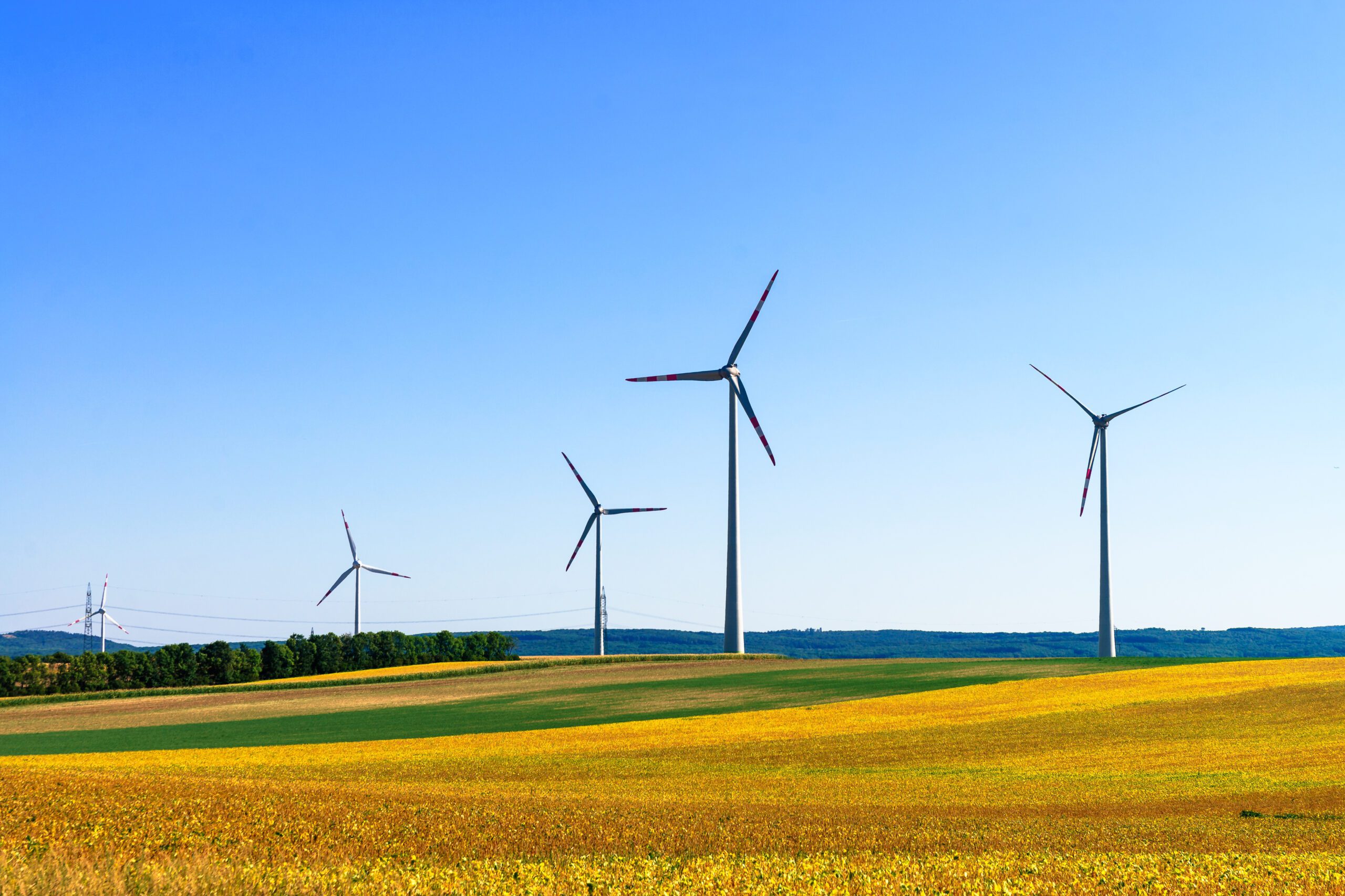 Renewable Energy Insurance in Greenville, SC Renewable Energy Insurance in Greenville, SC