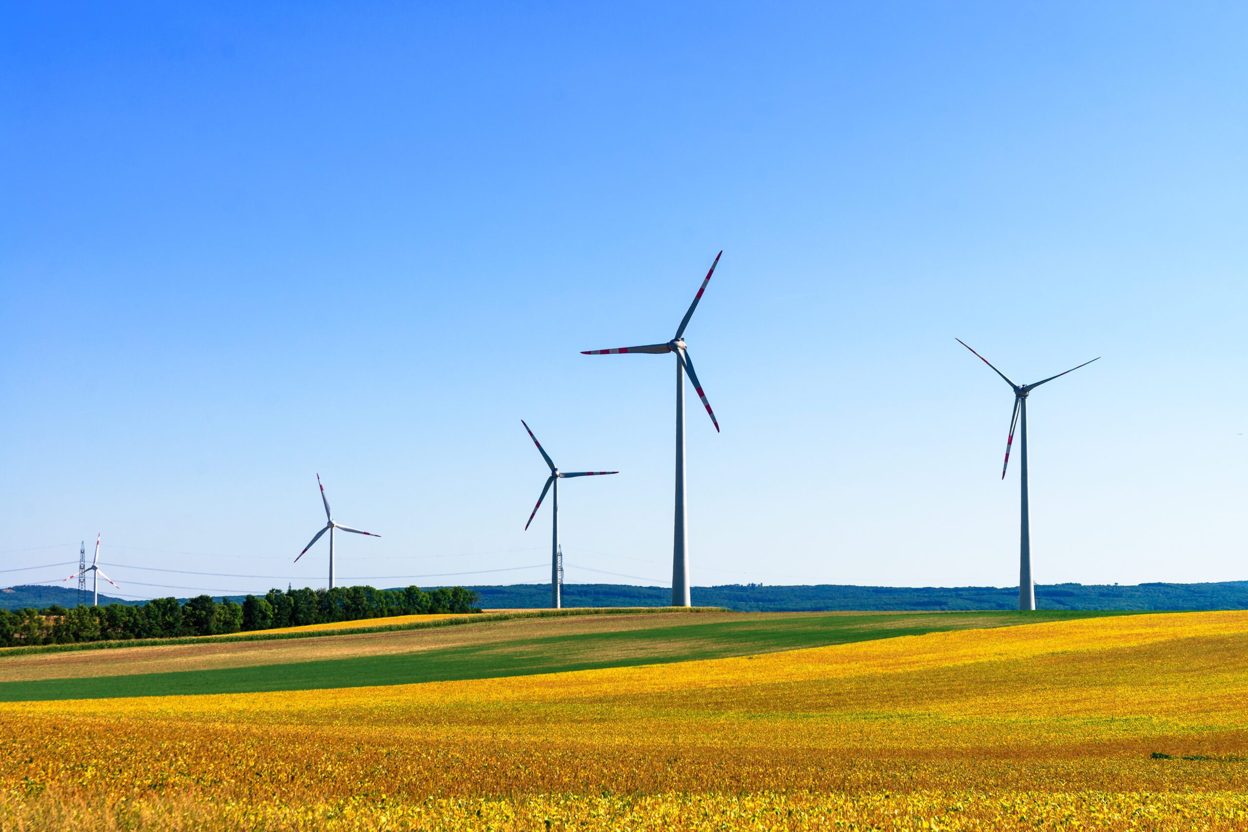 Renewable Energy Insurance in Greenville, SC